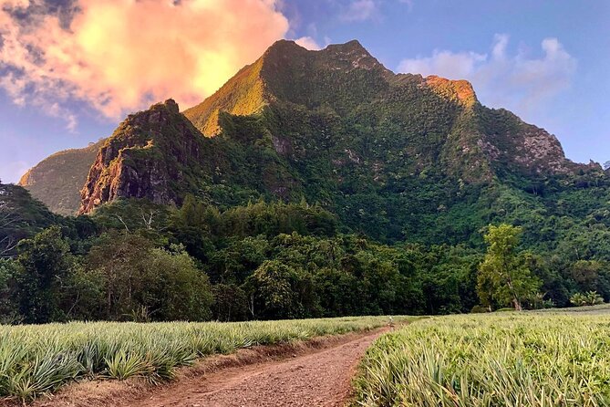 Private Half-Day Hike in the Opunohu Valley in Moorea - The Opunohu Valley is Moorea’s inland reality check