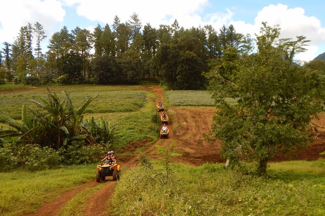 Private Half-Day Hike in the Opunohu Valley in Moorea - Duration and the half-day timing reality in Moorea