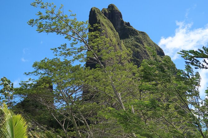 Private Half-Day Hike in the Opunohu Valley in Moorea - Price and value: is $668 worth a private half-day?