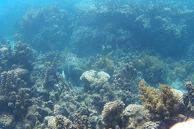 Private Half Day Sailing Excursion on the Lagoon of Tahiti - How the 3 Hours 45 Minutes Actually Break Down
