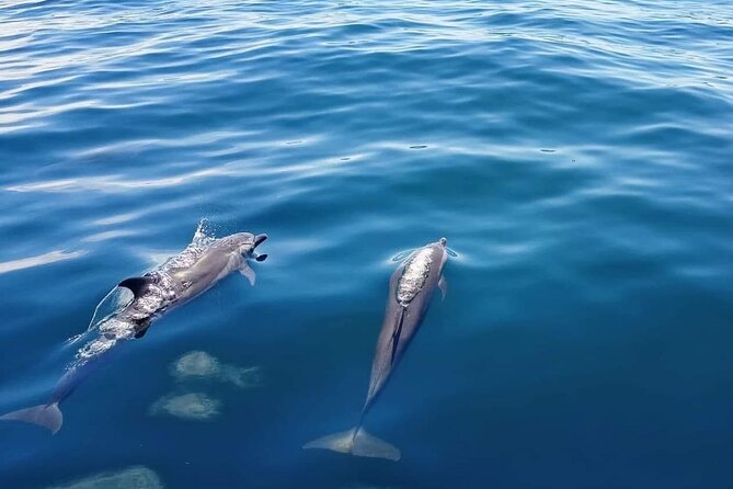 Private Half Day Sailing Excursion on the Lagoon of Tahiti - The Shallow-Water Break: Punch, Juice, and Seasonal Fruit Salad