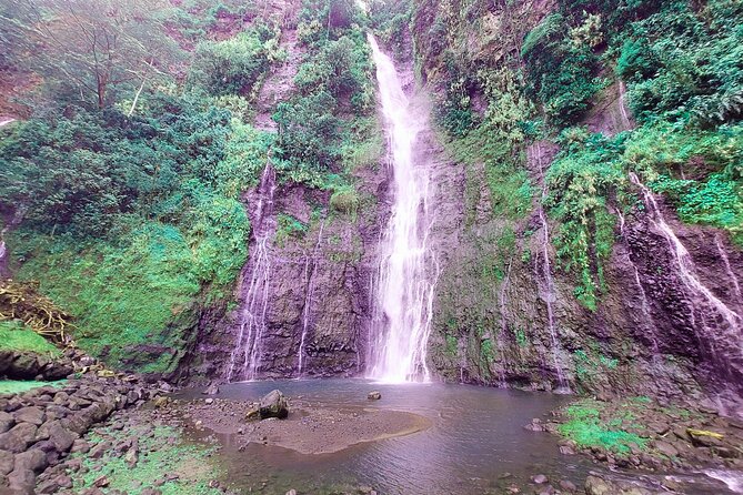 Private Half Day Tour: Papeete and Nature of Tahiti east coast - Why this half-day route hits both Papeete city life and east-coast nature