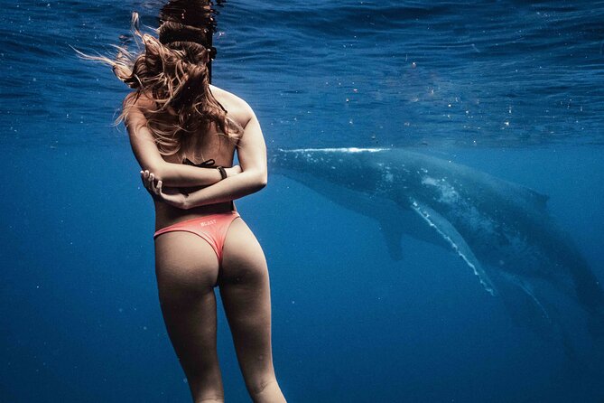 Private Half Day Whale Watching Tour - Why a 6-person whale boat feels different in Moorea