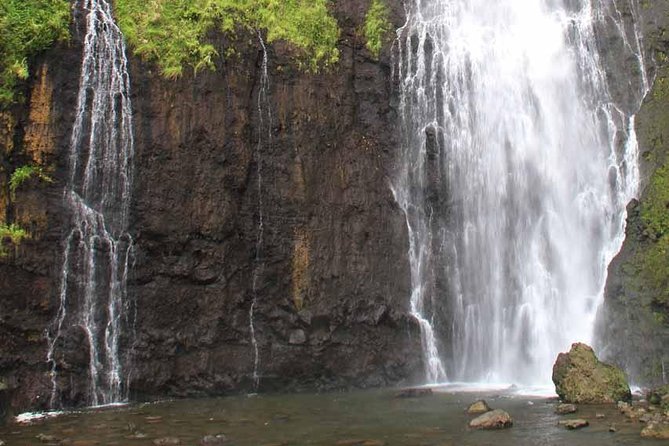 Private Island Tour ( 5 HOURS) - Stop 2, Maraa Grotto: freshwater pools, caves, and ferns