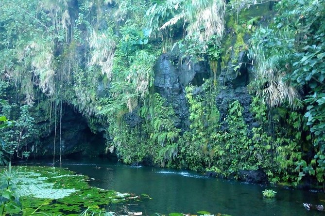 Private Island Tour ( 5 HOURS) - Stop 4, Faarumai Waterfalls: a short forest walk to Vaimahutu