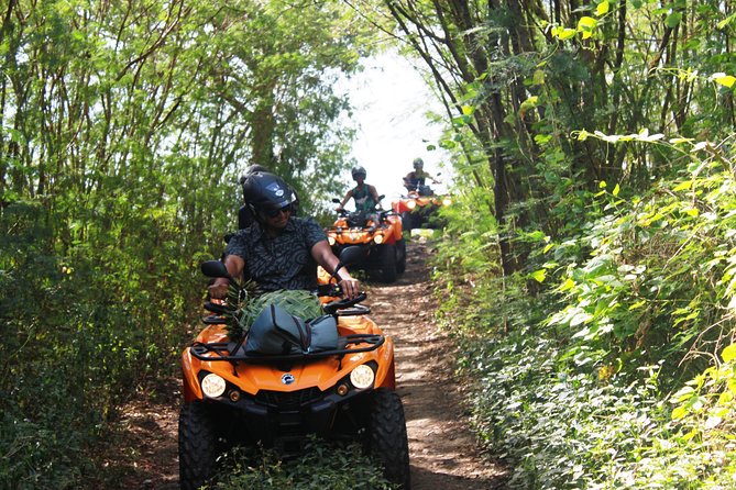 Private Island Tour by ATV / QUAD - Tips for a smooth morning with a 9:00 am start