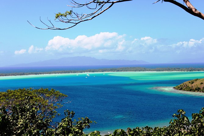 Private Island Tour by ATV / QUAD - The WWII cannons stop and the stories you hear from a native guide
