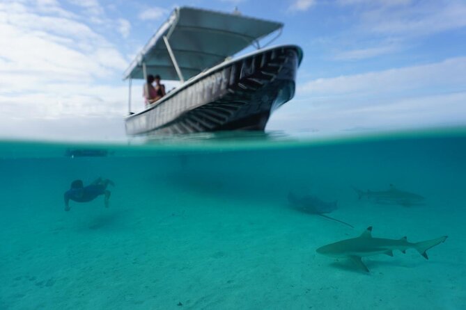 Private Lagoon Exploration and Snorkeling in Moorea - Getting There: Cocobeach Pickup and a Straight-Back Return