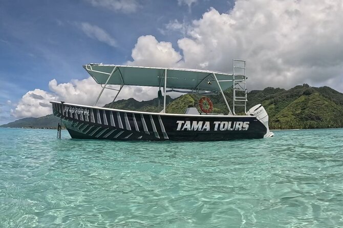 Private Lagoon Exploration and Snorkeling in Moorea - The Stingrays and Blacktipped Sharks Swim Plan
