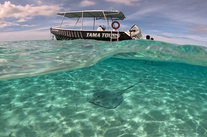 Private Lagoon Exploration and Snorkeling in Moorea - Chasing Spinner Dolphins Near the Reef Edge