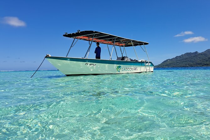 Private Marine Excursion and snorkeling in the lagoon of Moorea - Key highlights at a glance