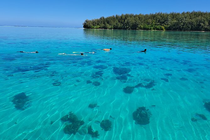 Private Marine Excursion and snorkeling in the lagoon of Moorea - Meet at Quai des Croisières, then settle in for about 4 hours