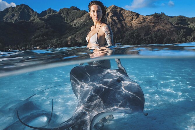 Private Marine Wildlife Adventure with Underwater Photography - Key Highlights You’ll Care About in Moorea