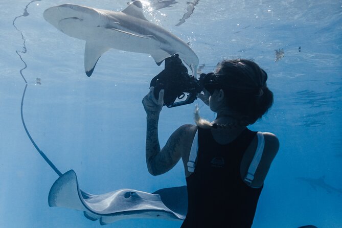 Private Marine Wildlife Adventure with Underwater Photography - Who This Tour Fits Best (And Who Should Skip It)