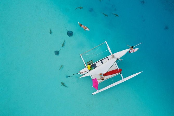 Private Moorea Discovery Half-day Sailing - Key highlights to know before you go