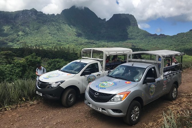 Private Morning Moorea 4WD Tour with Champagne - Cook Bay and pineapple fields for classic Moorea moments