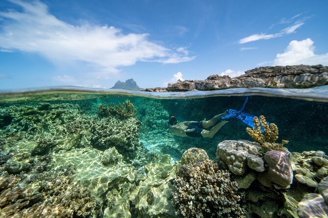 Private Reef Discovery Luxury Dream Day Tour in Bora Bora - Boat Experience and Comfort: What “Luxury” Means in Practice Here