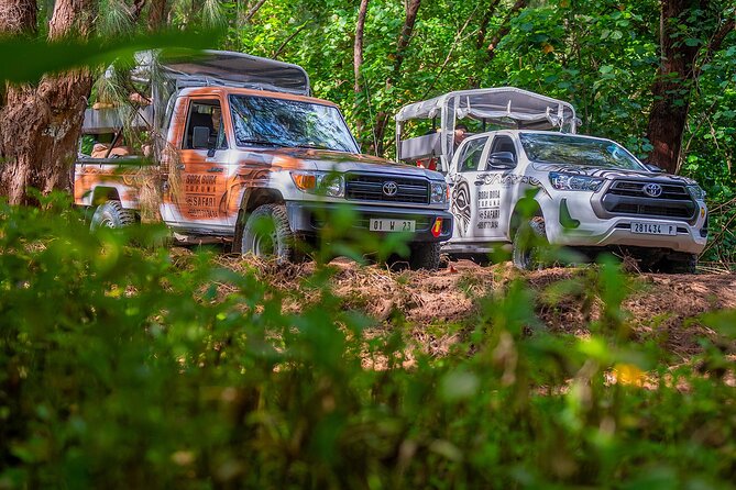 Private Safari Adventure Tour in Bora Bora with Local Guide - Faanui Valley and ancient Polynesian temples