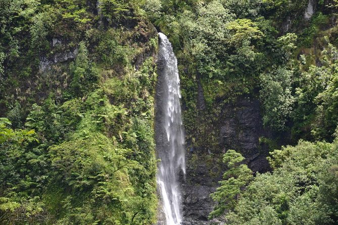 Private Tahiti Circle Island - Waterfalls, Black Sand & Views - Stop 3: Vaipahi Water Gardens, Springs, Ponds, and an Easy Walk