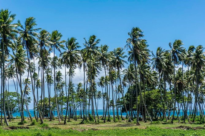 Private Tahiti Circle Island - Waterfalls, Black Sand & Views - Your Van, Your Guide, and the Small Details You Feel