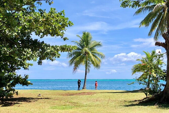 Private TAHITI Half Day Circle Island Tour (Departs 8am or 1pm) - What “customizable” usually means on a half-day tour