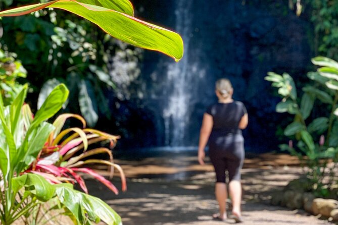 Private TAHITI Half Day Circle Island Tour (Departs 8am or 1pm) - Pickup, private group size, and how it affects the vibe