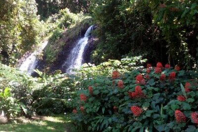 private Tahiti island discovery