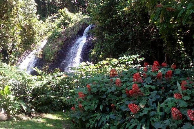 private Tahiti island discovery - The comfort wins: hotel pickup, A/C, and a paced route