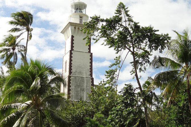 Private : Tahiti Museum & Circle Island Tour, Afternoon Tour (5h) - Water Gardens of Vaipahi: endemic plants, waterfall scenery, and a small-shop stop