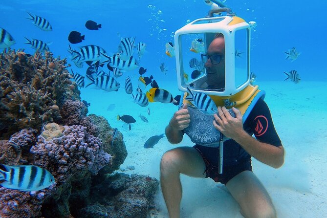 Private Tour: Aqua Safari Scuba Diving - Key highlights you will feel the moment you arrive