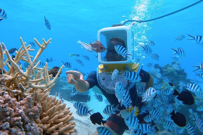 Private Tour: Aqua Safari Scuba Diving - Bora Bora lagoon, the helmet-on way, at walking depth