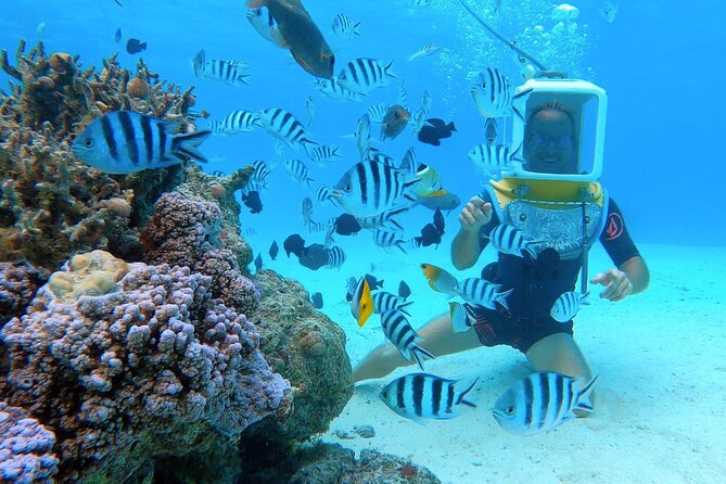 Private Tour: Aqua Safari Scuba Diving - Private boat comfort and why it matters more than you think
