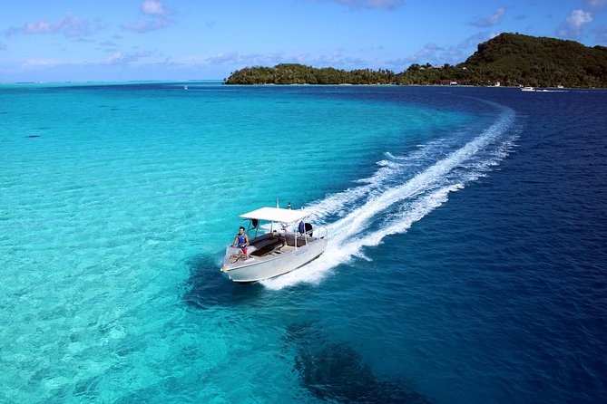 Private Tour: Aqua Safari Scuba Diving - Price in Bora Bora terms: paying for privacy and training time
