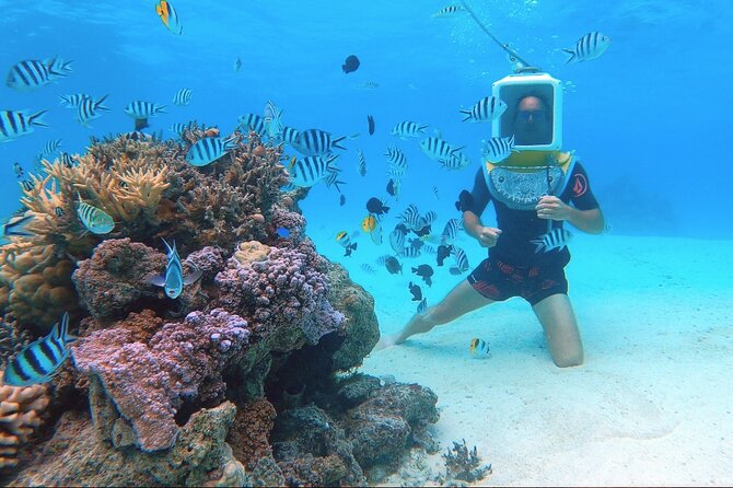Private Tour: Aqua Safari Scuba Diving - Weather and timing: what to plan for in real Bora Bora weather