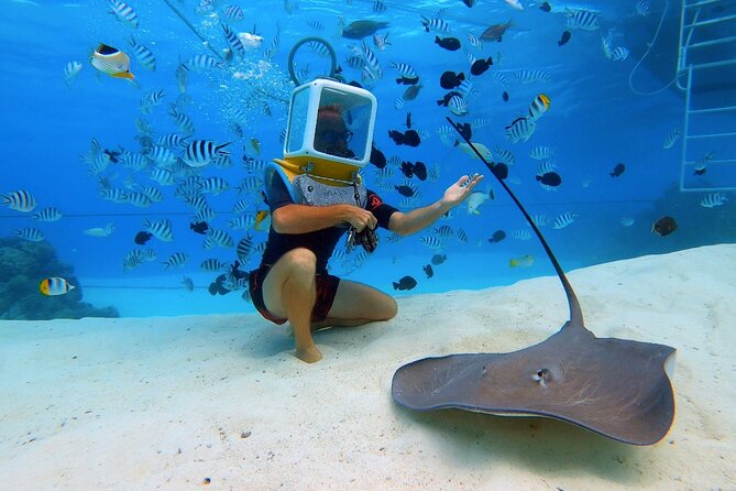 Private Tour: Aqua Safari Scuba Diving - The step-by-step flow: from pickup to your 30 minutes underwater
