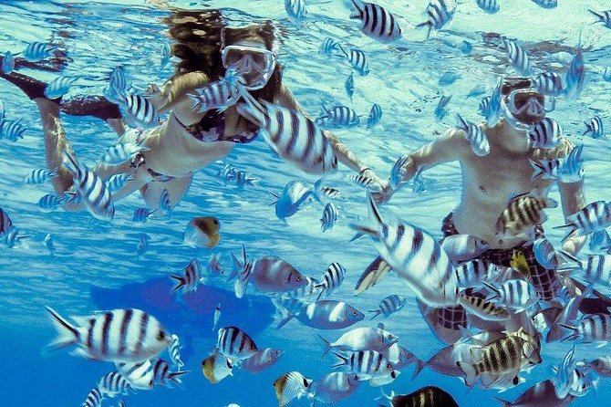 Private Tour: Bora Bora Lagoon Eco Snorkel Cruise - 3hrs or 6hrs - Why This Bora Bora Lagoon Snorkel Cruise Feels Different From The Usual
