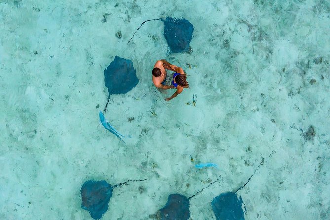 Private Tour: Bora Bora Lagoon Eco Snorkel Cruise - 3hrs or 6hrs - Guides and Spot-Finding: The Difference Between Seeing and Missing