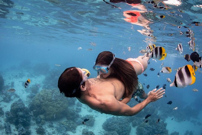 Private Tour: Bora Bora Lagoon Eco Snorkel Cruise - 3hrs or 6hrs - Weather and Season: Why Your Route May Change