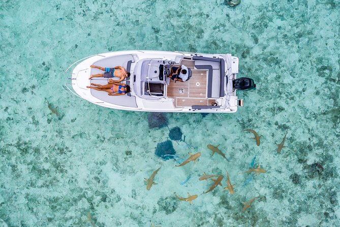 Private Tour: Bora Bora Lagoon Eco Snorkel Cruise - 3hrs or 6hrs - Price and What You Actually Get for $346.08 Per Person