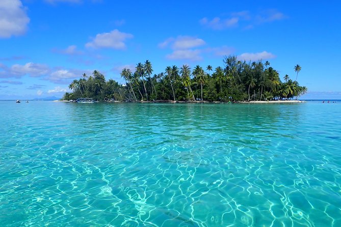 Private tour from Raiatea - 1/2 day excursion to Tahaa or other - Key highlights you will actually care about