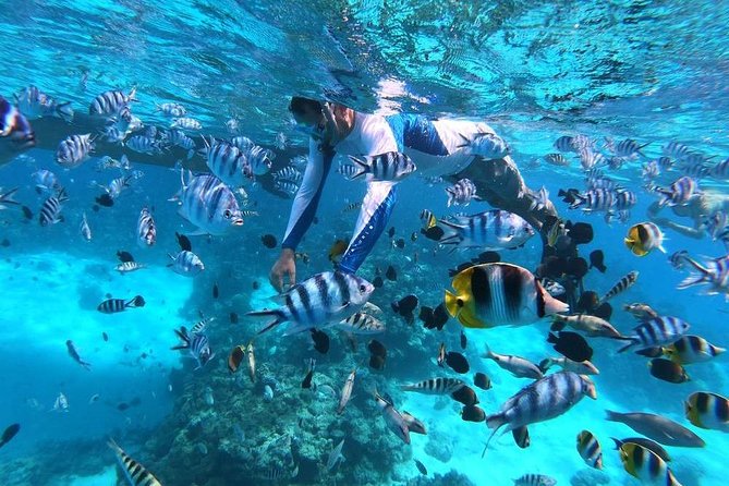 Private tour from Raiatea - 1/2 day excursion to Tahaa or other - Why a Raiatea to Tahaa half-day feels special