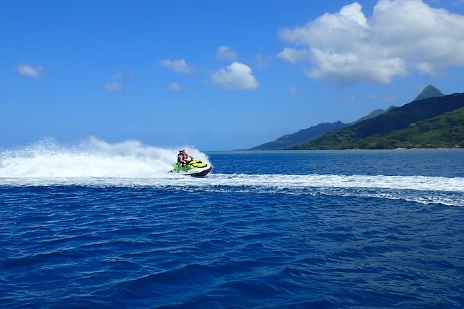 Private tour observing and swimming with humpback whales in Moorea - Snorkeling With Rays, Sharks, and Turtles Without the Chaos