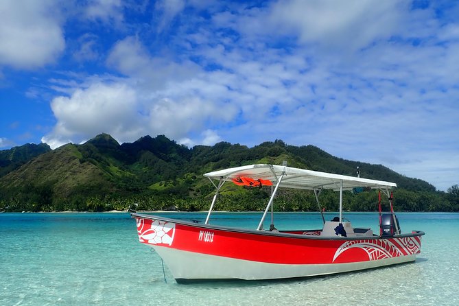 Private tour observing and swimming with humpback whales in Moorea - Subwin and Water Time, How to Choose Your Style