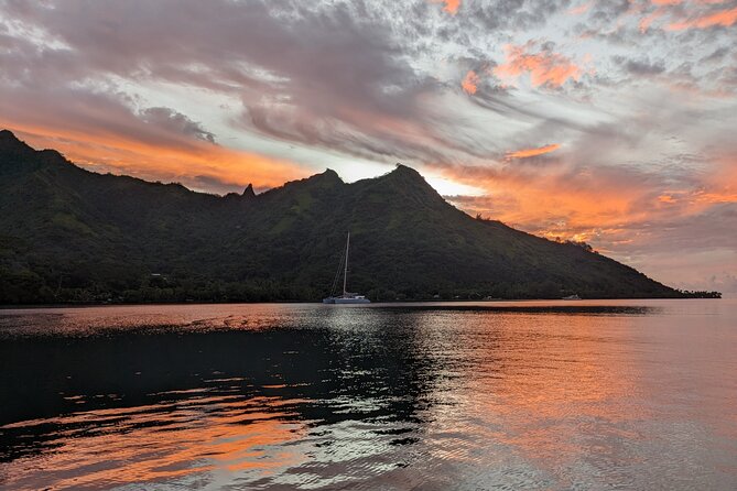 Private Tour Whale Watching Half Day Tour - The Boat and Comfort Level: Plan for Adventure, Not Luxury
