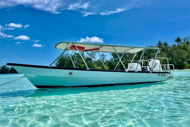 Private Whale Watching Adventure in Mo'orea - Watching from the boat also counts, and it can be the right choice