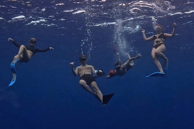 Private Whale Watching Adventure in Mo'orea - The search phase: spotting time beats check-the-box time