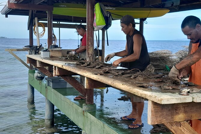 Raiatea-Beautiful Black Pearl of Tahiti and the Vanilla of Tahaa - Dolphin, shark, and manta ray chances in the Tahaa lagoon