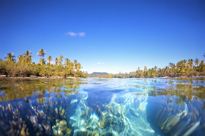 Raiatea-Tahaa Snorkeling in our beautiful Coral Garden - Who should book this Raiatea-Tahaa coral garden snorkel