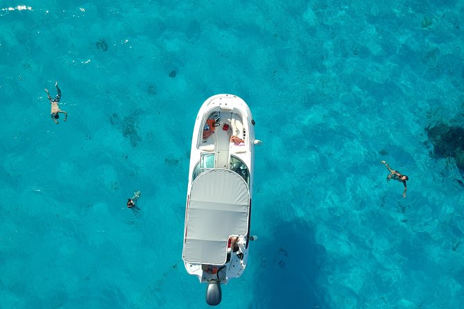 Reef Discovery Half Day Group Signature Tour - Key Things I’d Actually Pay Attention To