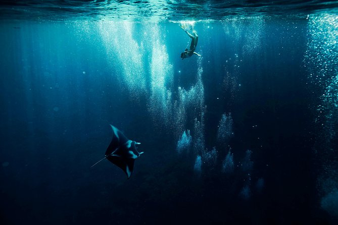 Reef Discovery Half Day Group Signature Tour - What’s Included So You Travel Light (And Stop Worrying)